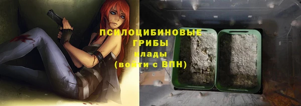 стаф Алексин