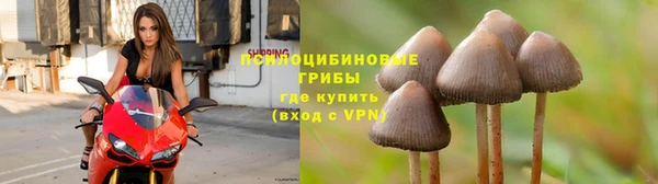 стаф Алексин