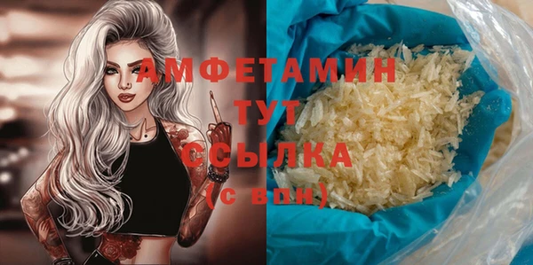 стаф Алексин